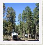 15 Big Pine Campground, Custer SD (Small) * 460 x 480 * (62KB)